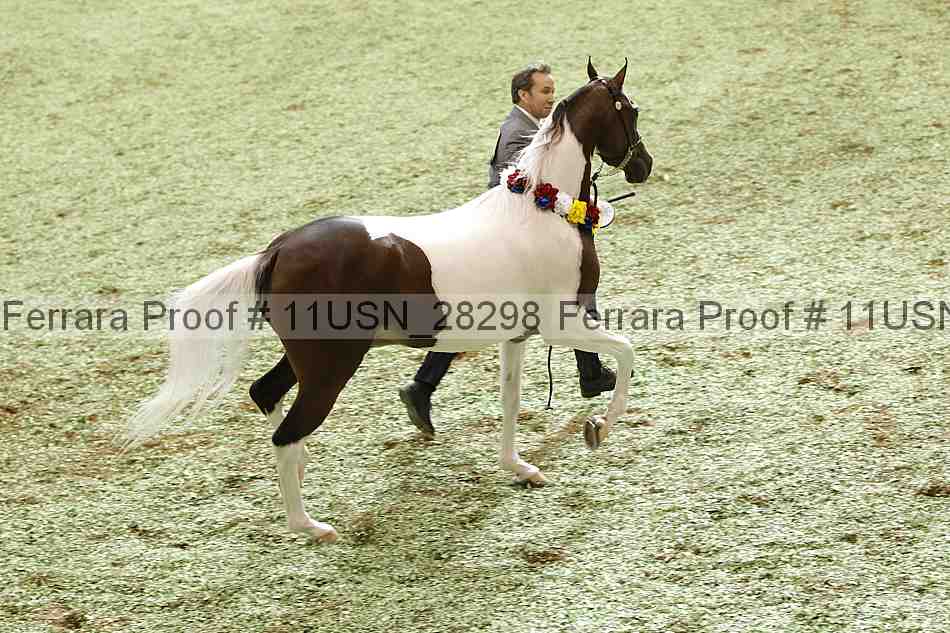 Proof 11usn_28298