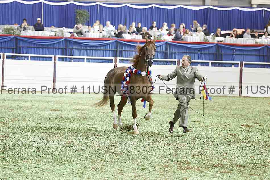 Proof 11usn_28302