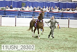 11usn_28302 proof