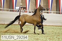 11usn_29294 proof
