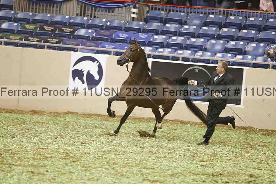 Proof 11usn_29295
