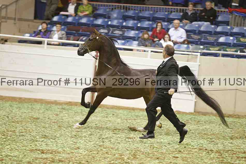 Proof 11usn_29296