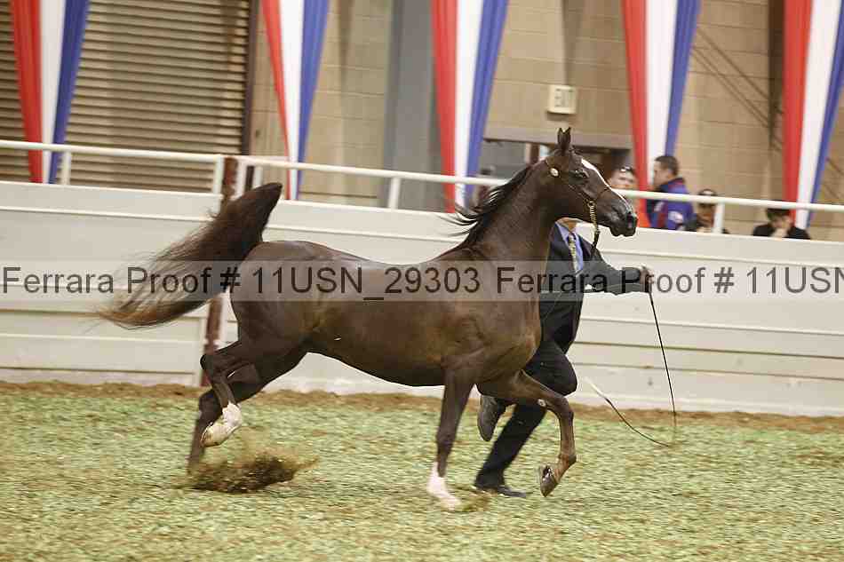 Proof 11usn_29303