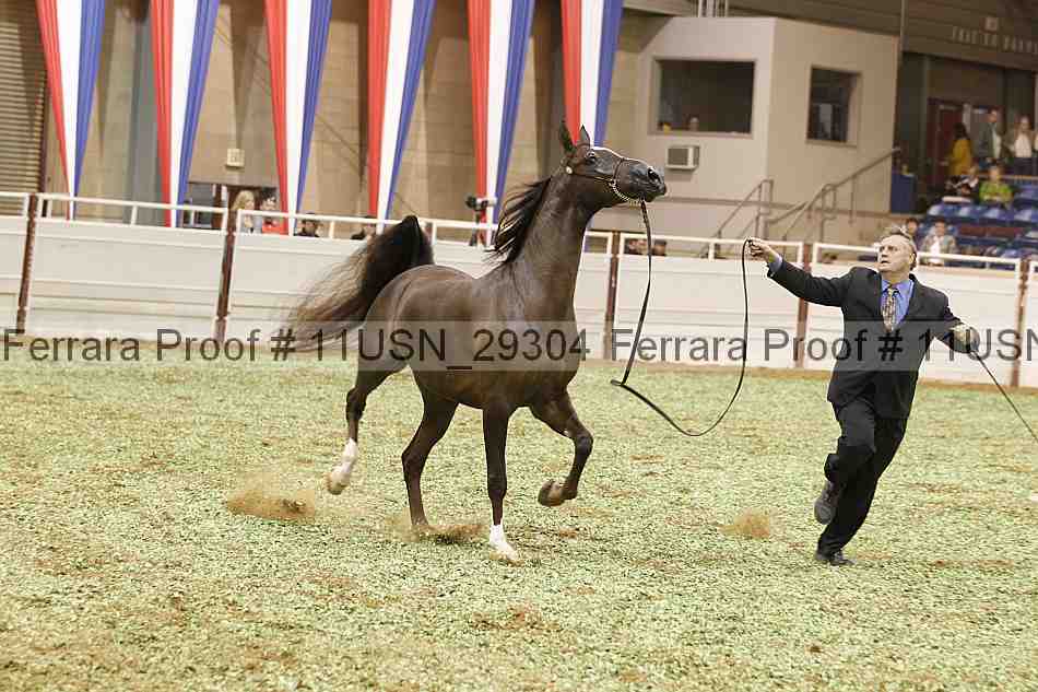 Proof 11usn_29304