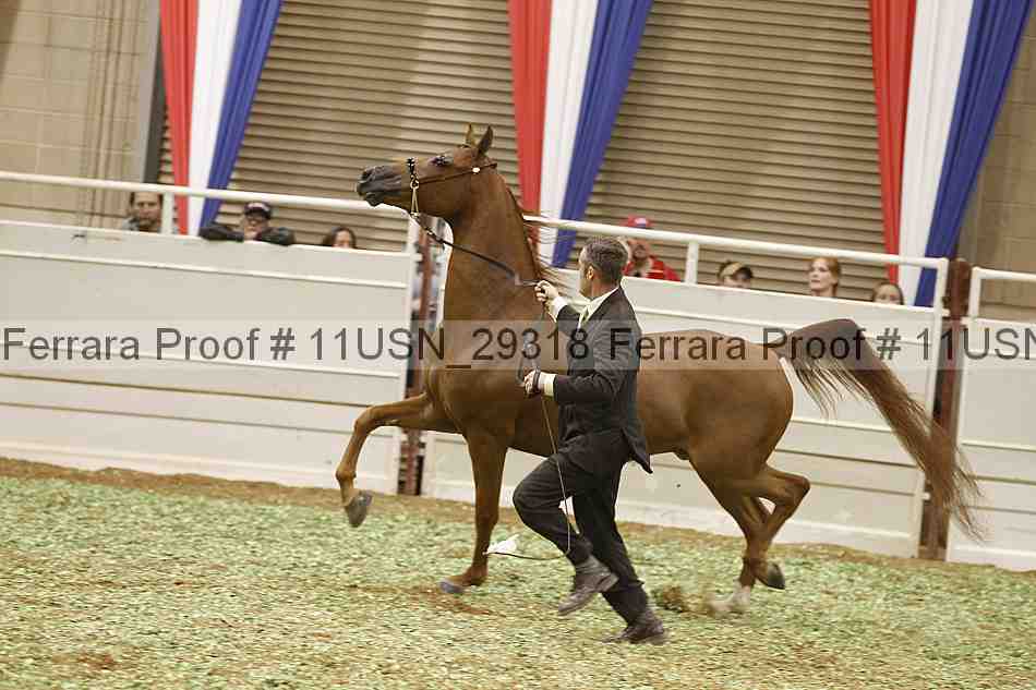 Proof 11usn_29318