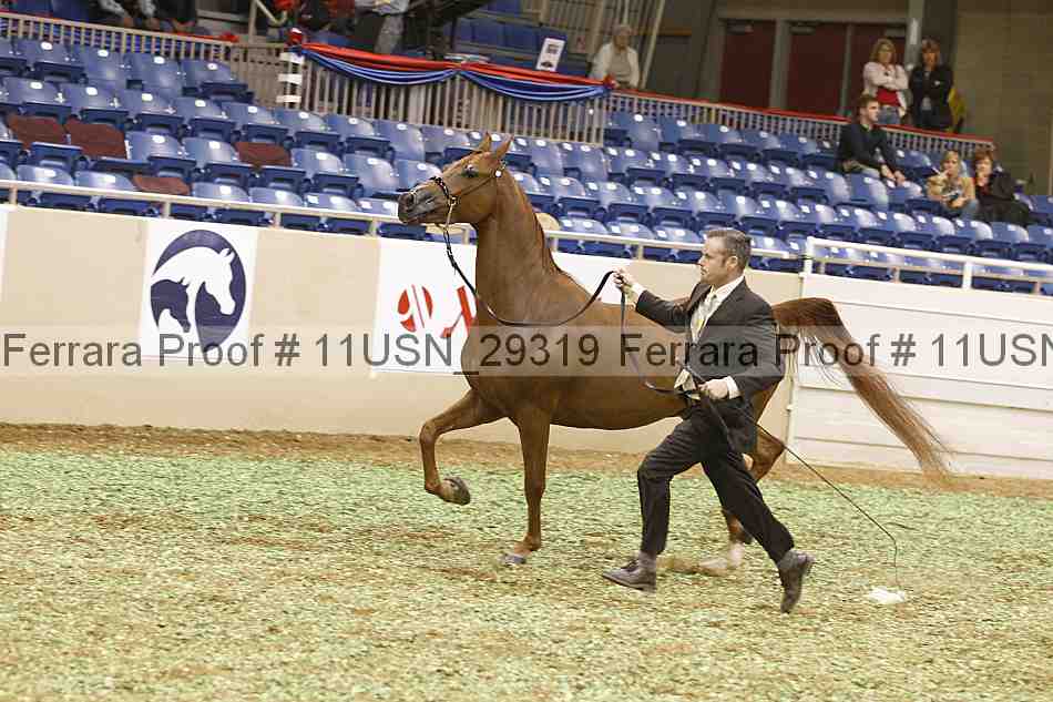 Proof 11usn_29319