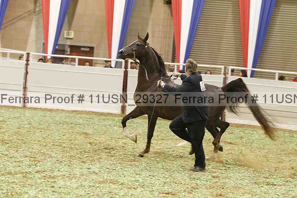 Proof 11usn_29327