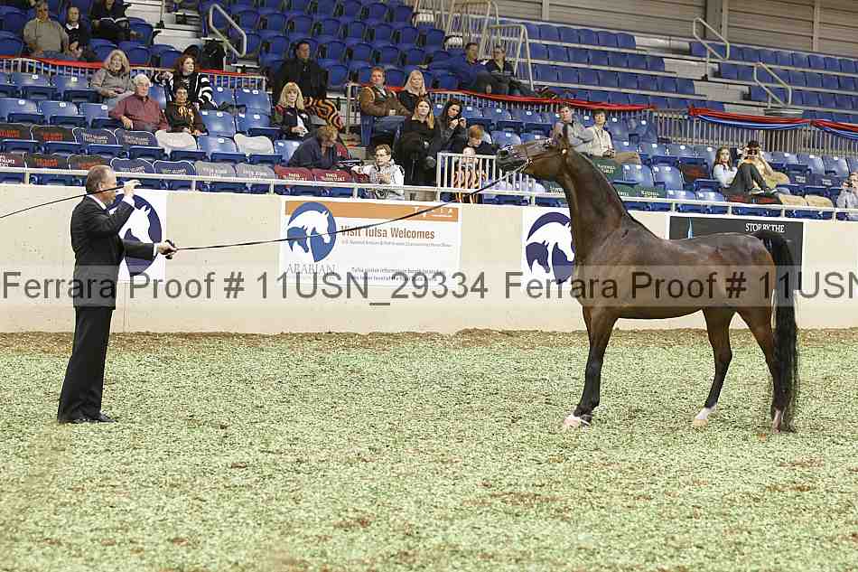 Proof 11usn_29334
