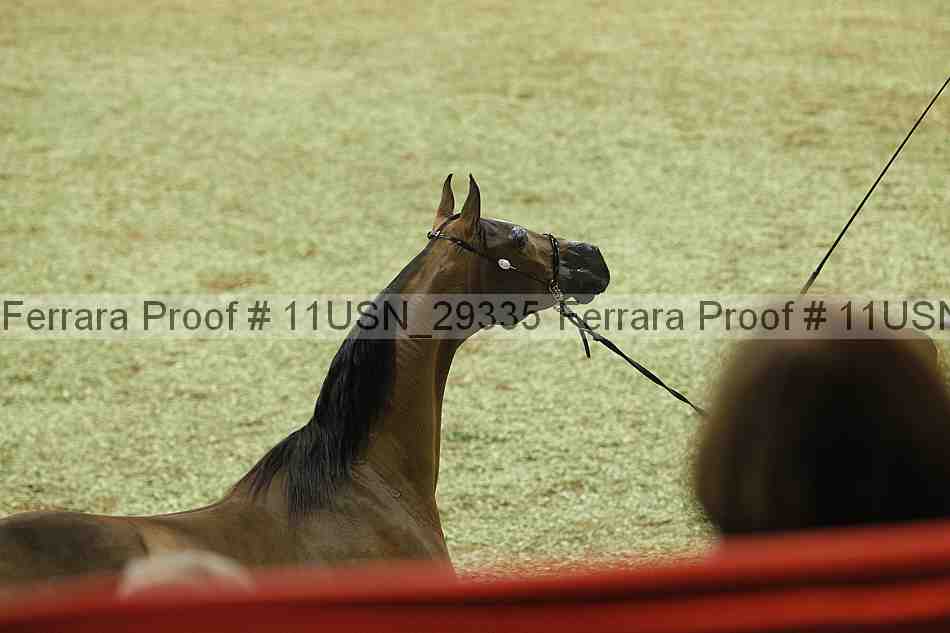 Proof 11usn_29335