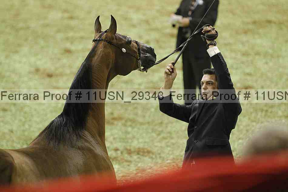 Proof 11usn_29343