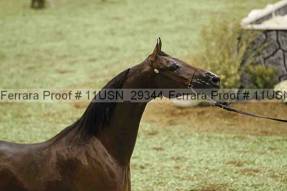 Proof 11usn_29344