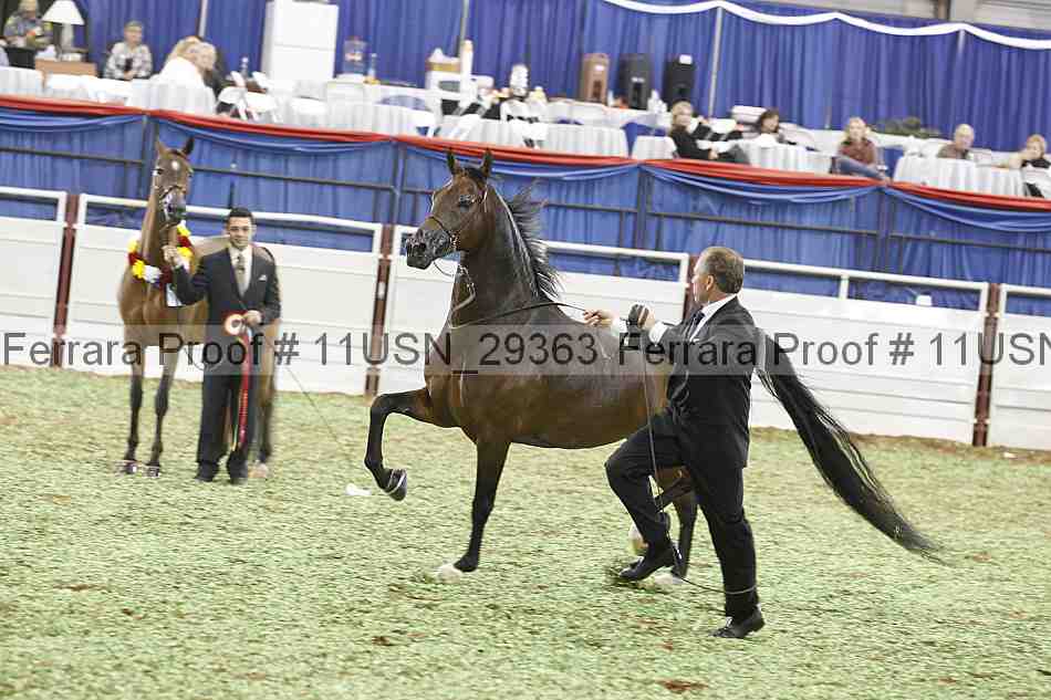 Proof 11usn_29363
