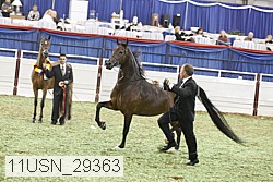 11usn_29363 proof