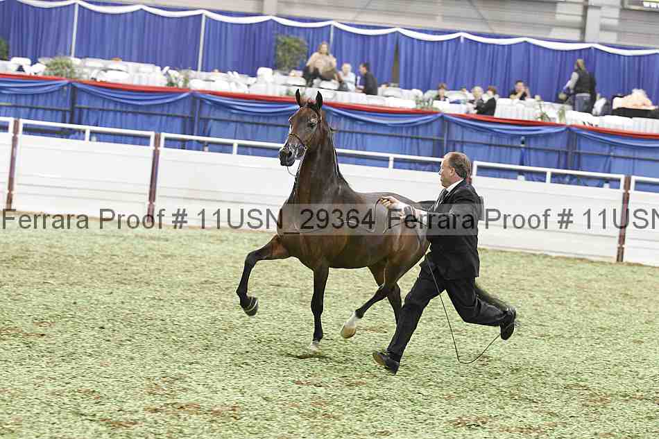 Proof 11usn_29364