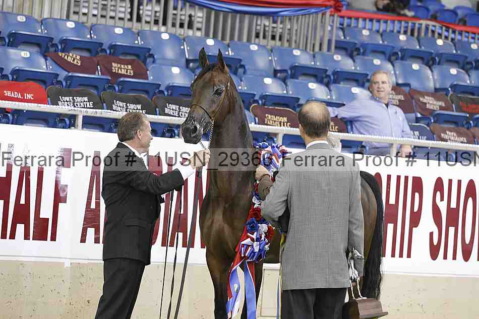 Proof 11usn_29366