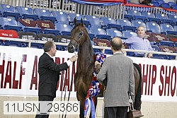 11usn_29366 proof