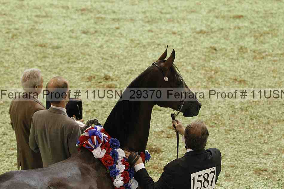 Proof 11usn_29370