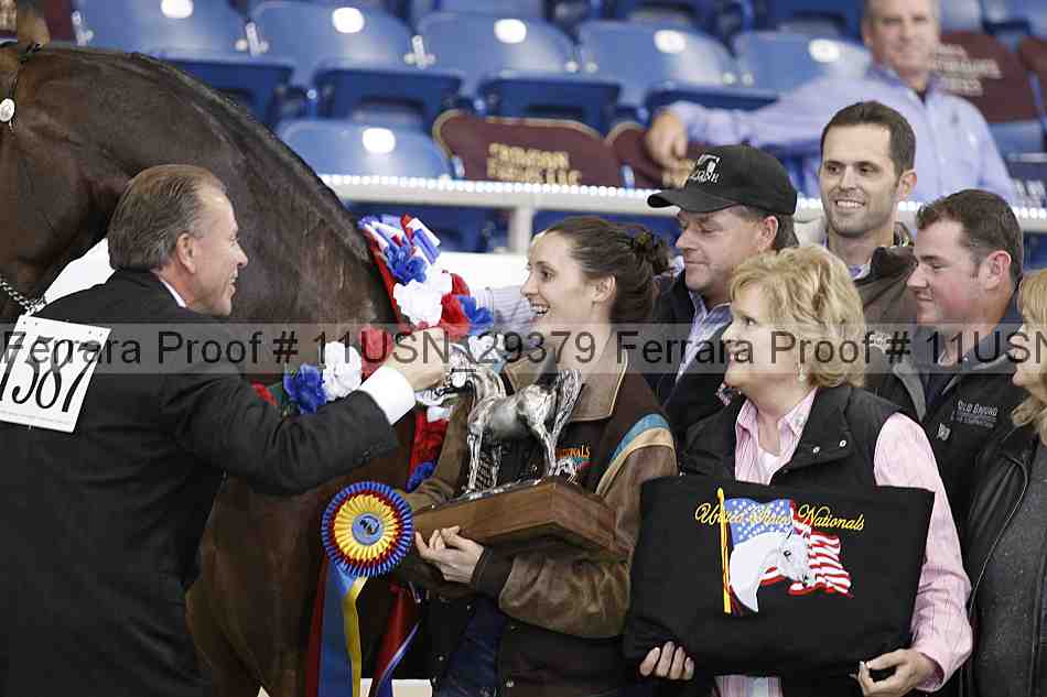 Proof 11usn_29379