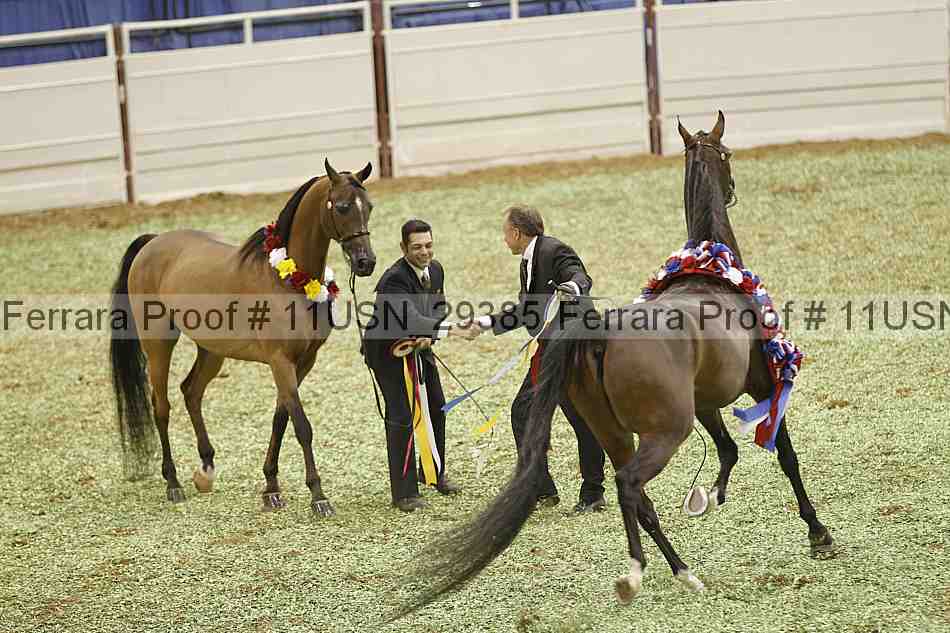 Proof 11usn_29385