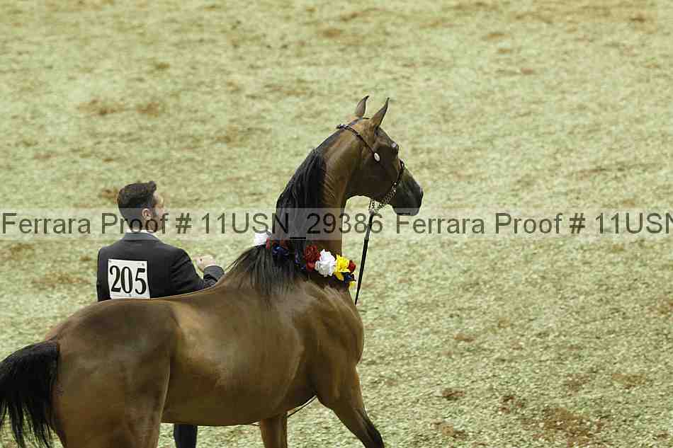 Proof 11usn_29386