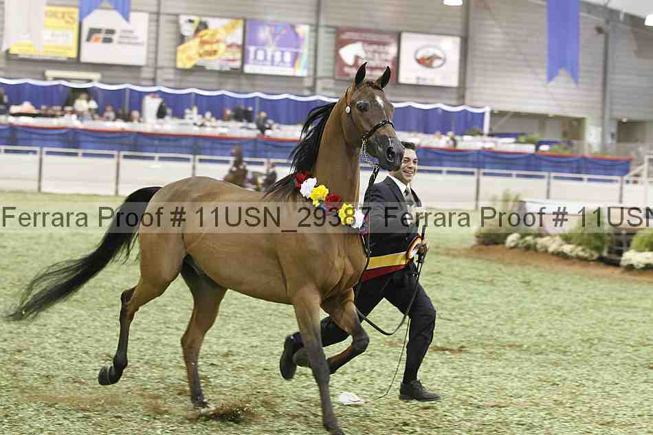Proof 11usn_29387
