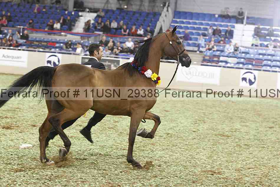 Proof 11usn_29388