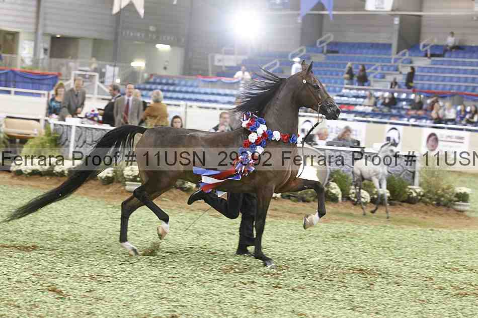 Proof 11usn_29392
