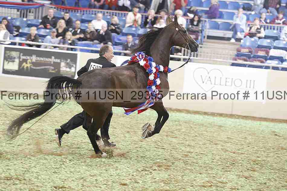 Proof 11usn_29395