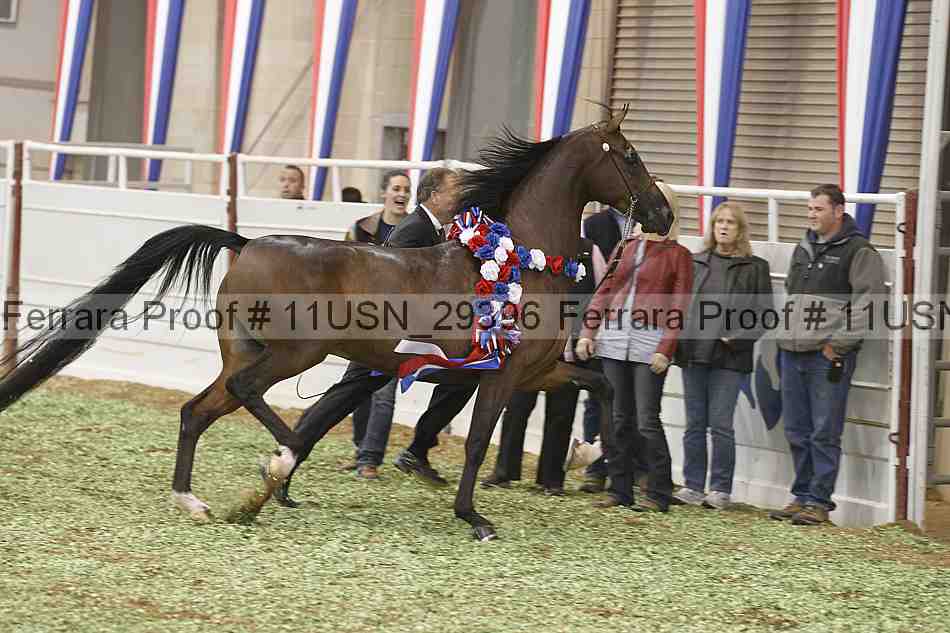 Proof 11usn_29396
