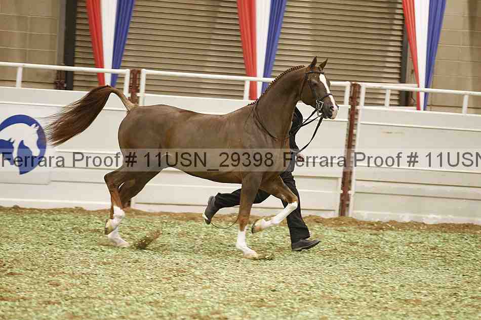 Proof 11usn_29398