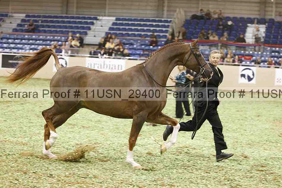 Proof 11usn_29400