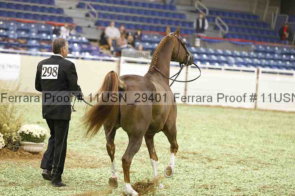 Proof 11usn_29401
