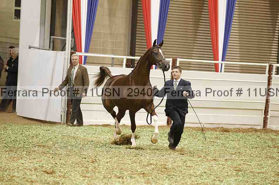 Proof 11usn_29402