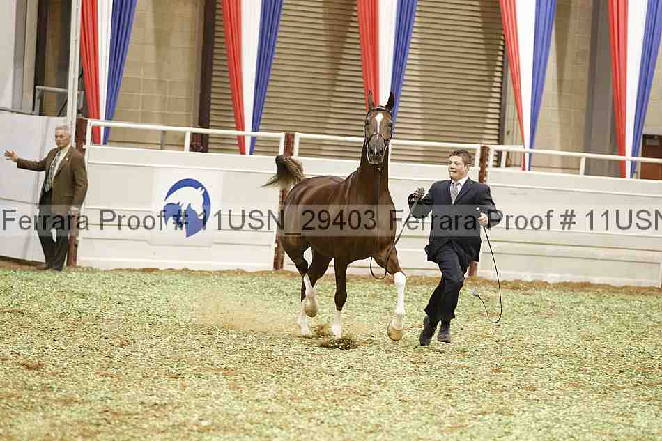 Proof 11usn_29403