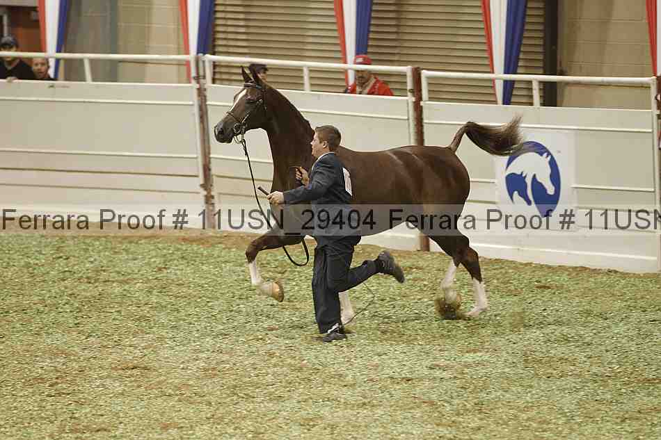 Proof 11usn_29404