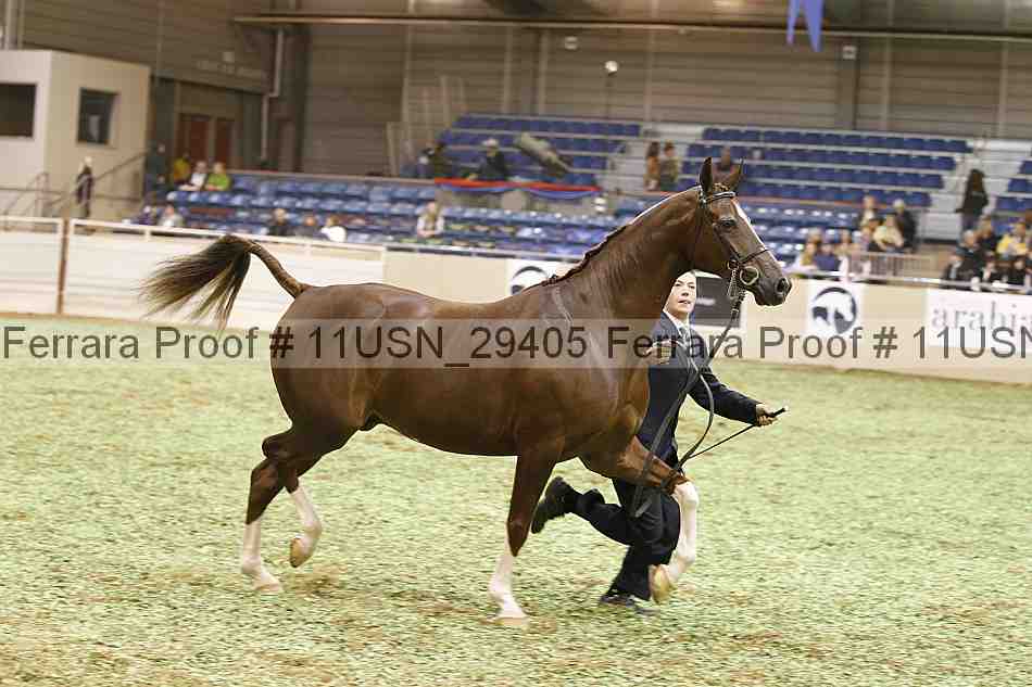 Proof 11usn_29405
