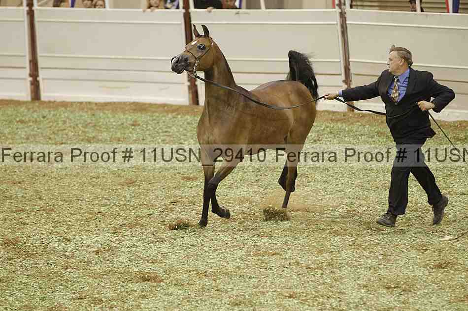 Proof 11usn_29410