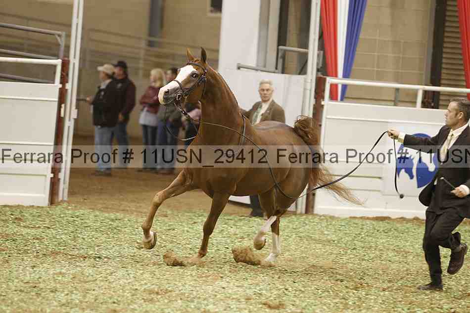 Proof 11usn_29412