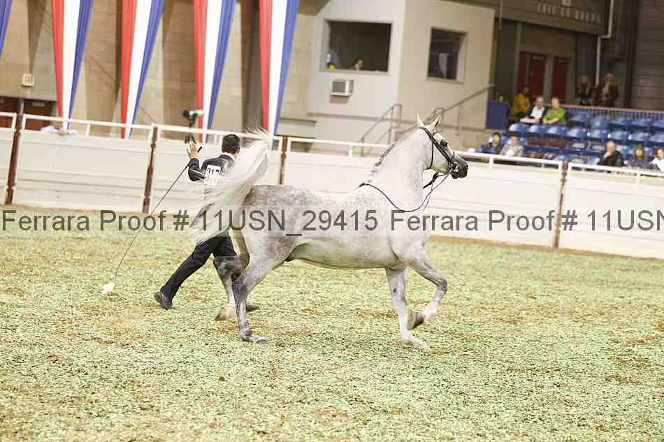 Proof 11usn_29415