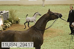 11usn_29417 proof
