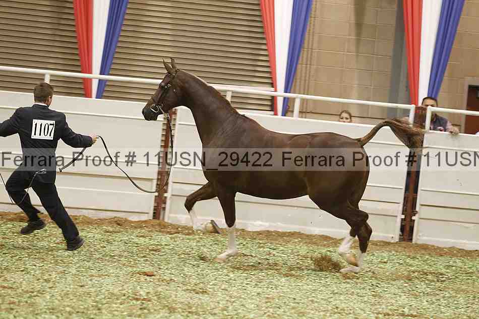 Proof 11usn_29422