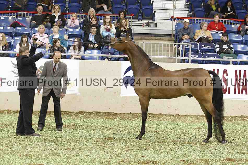Proof 11usn_29424