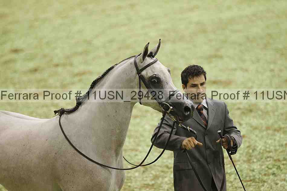Proof 11usn_29428