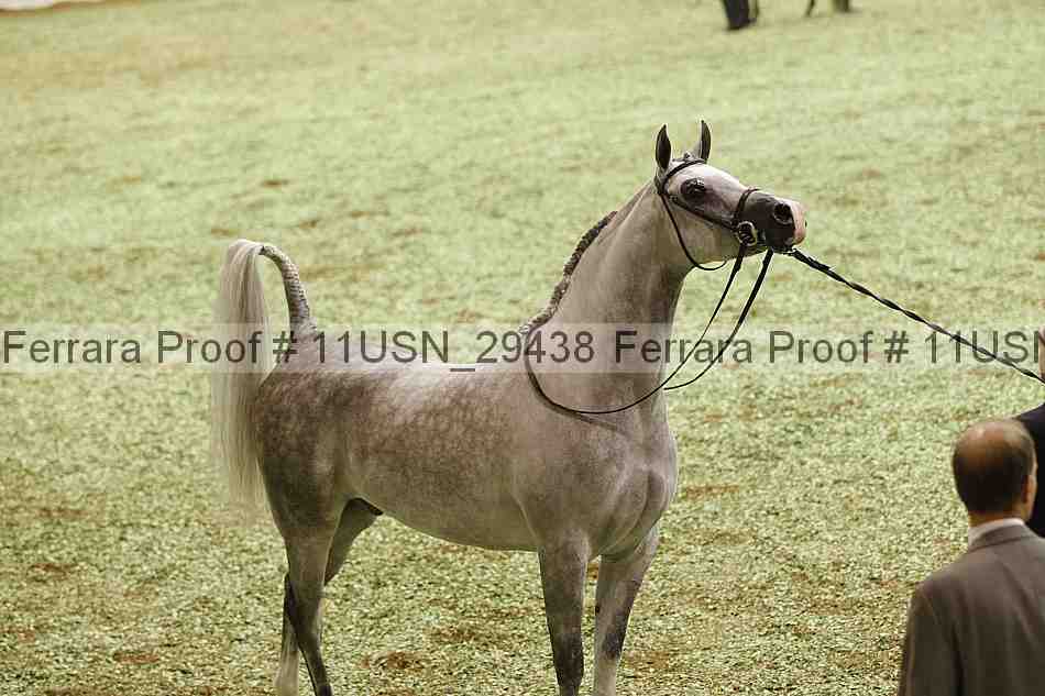 Proof 11usn_29438