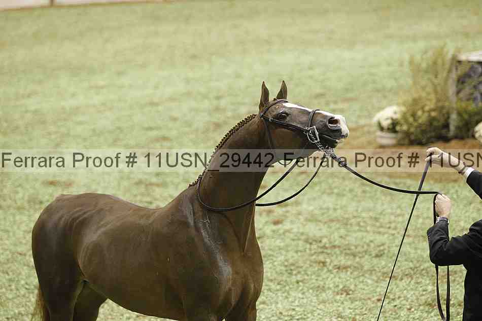 Proof 11usn_29442