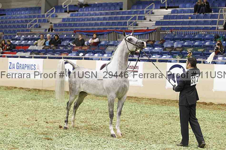 Proof 11usn_29446