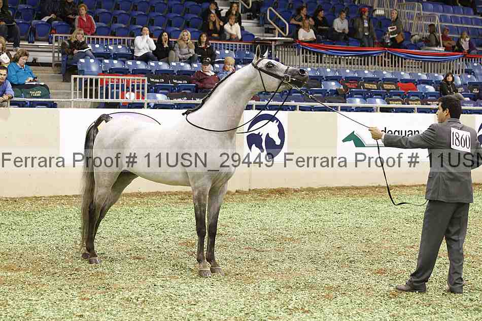 Proof 11usn_29449