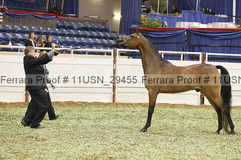 Proof 11usn_29455