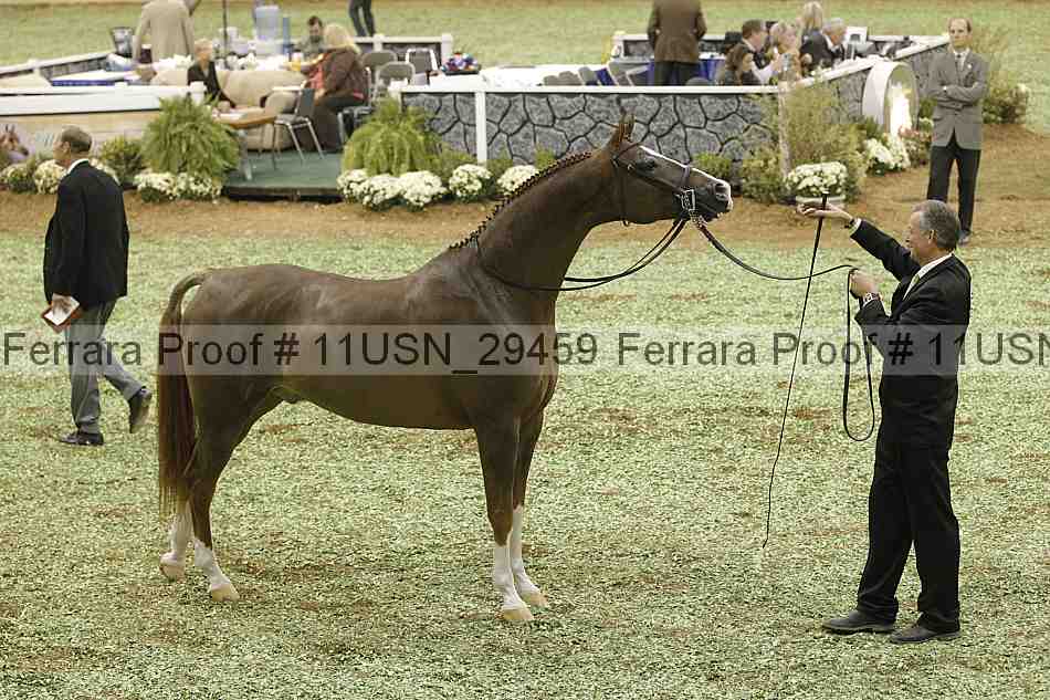 Proof 11usn_29459