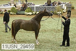 11usn_29459 proof